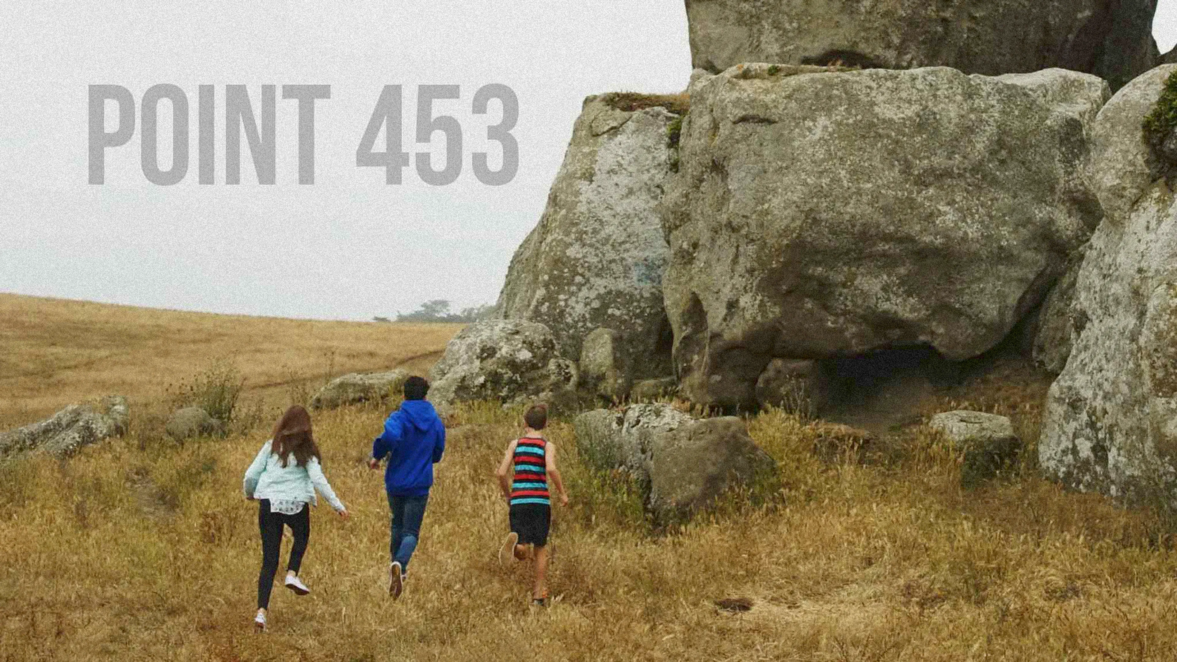 Point 453 poster